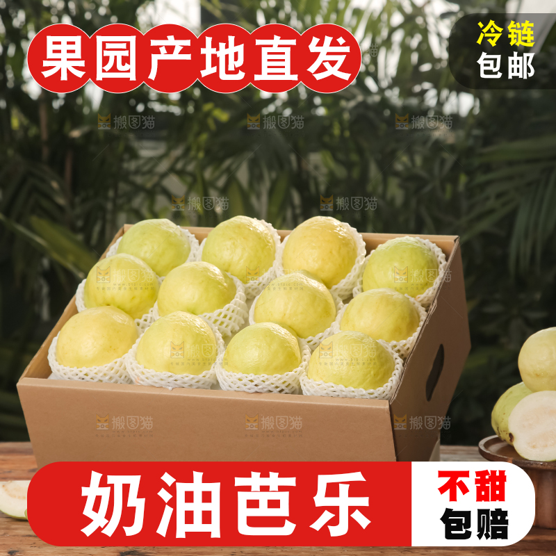 礼盒装的白心芭乐