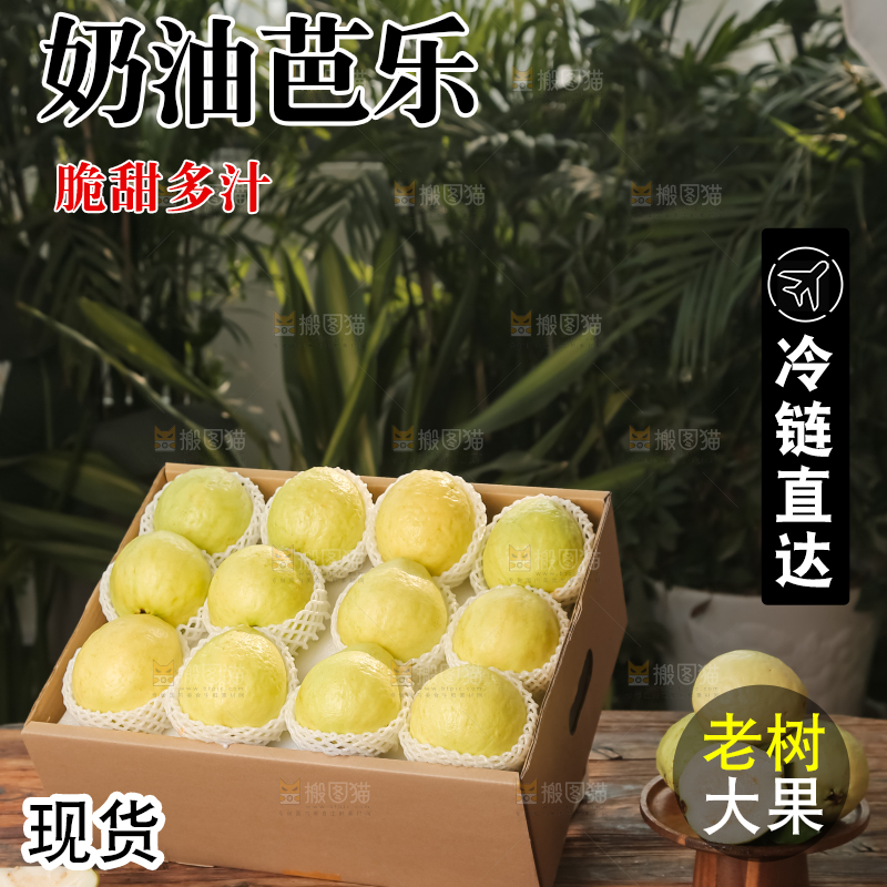 礼盒装的白心芭乐
