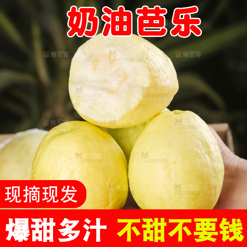 礼盒装的白心芭乐