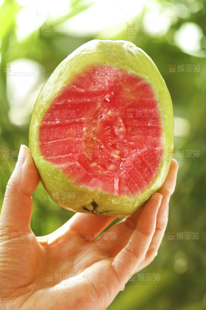 手里拿着红心芭乐