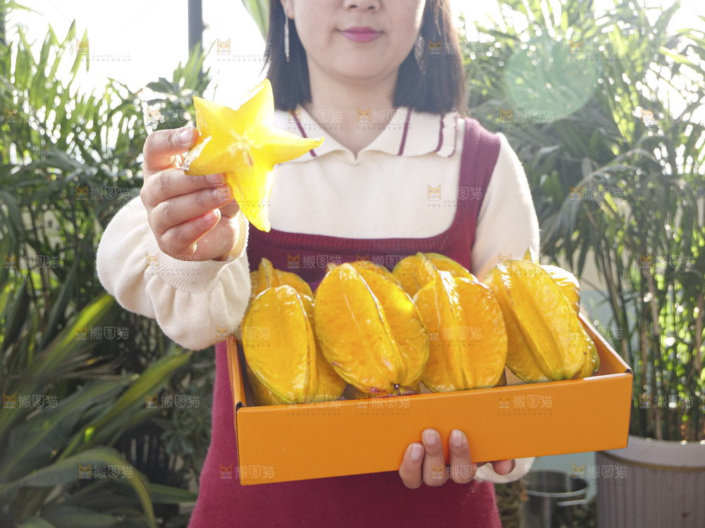 杨桃