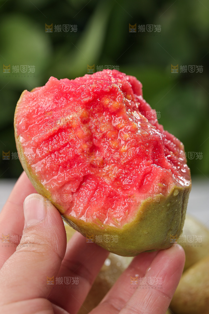 软心红芭乐