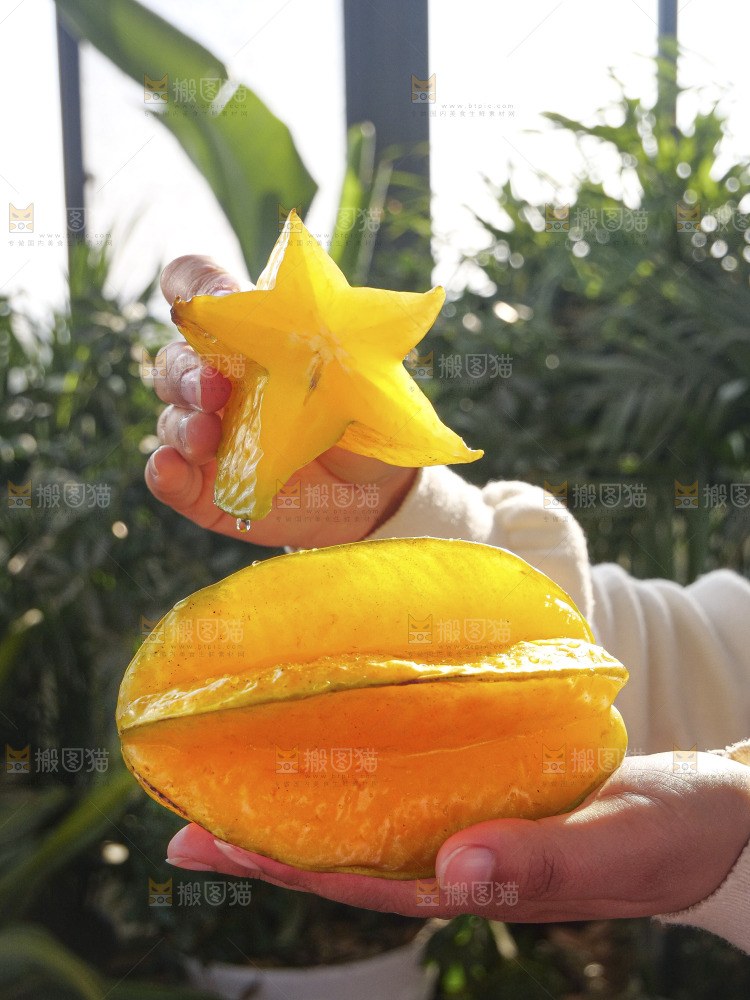 杨桃