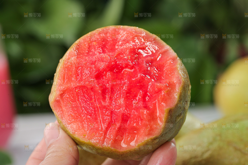 红心软芭乐