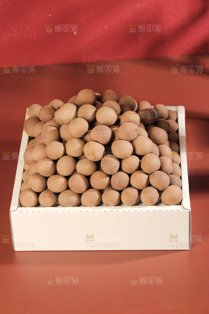 桂圆干