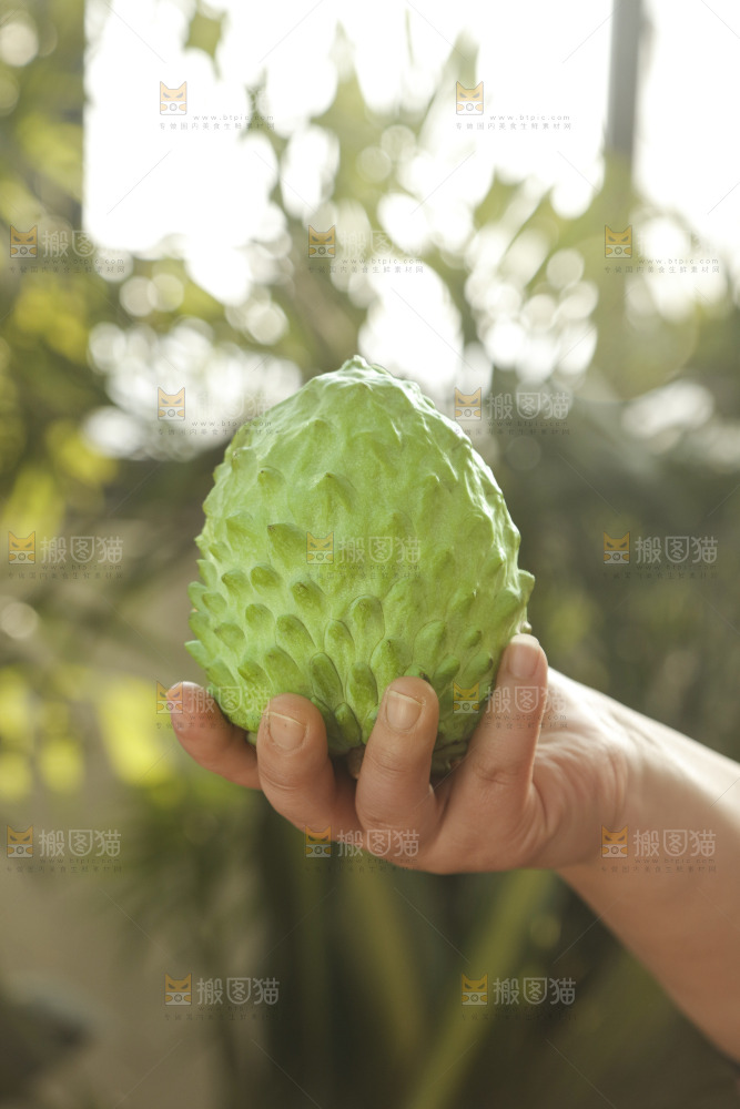 凤梨释迦果