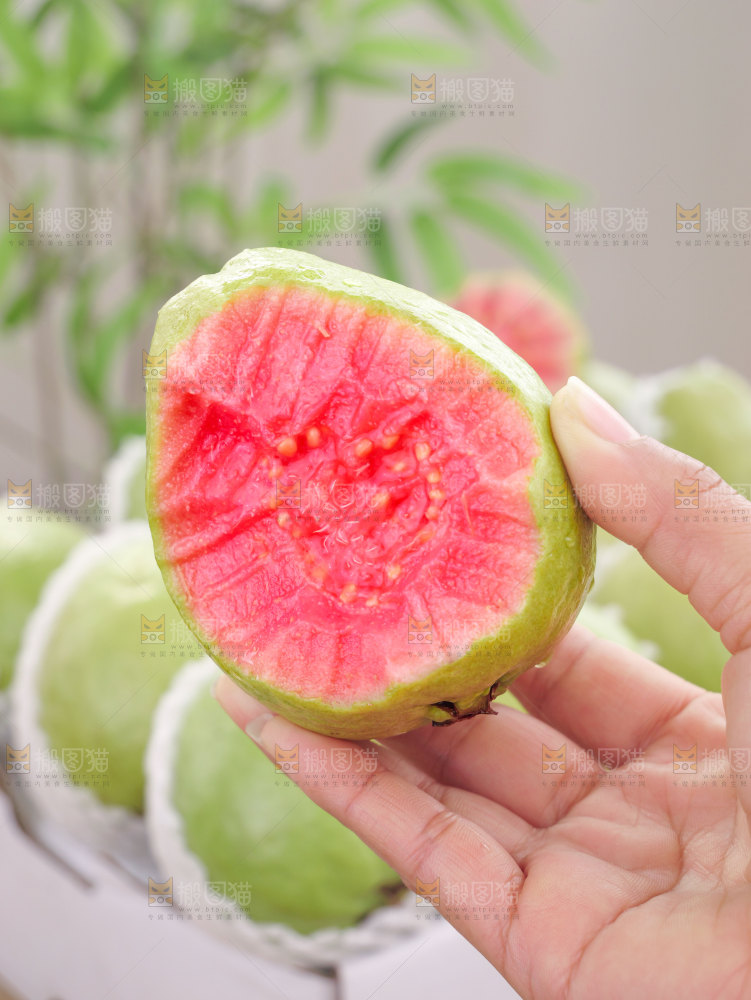 红心芭乐