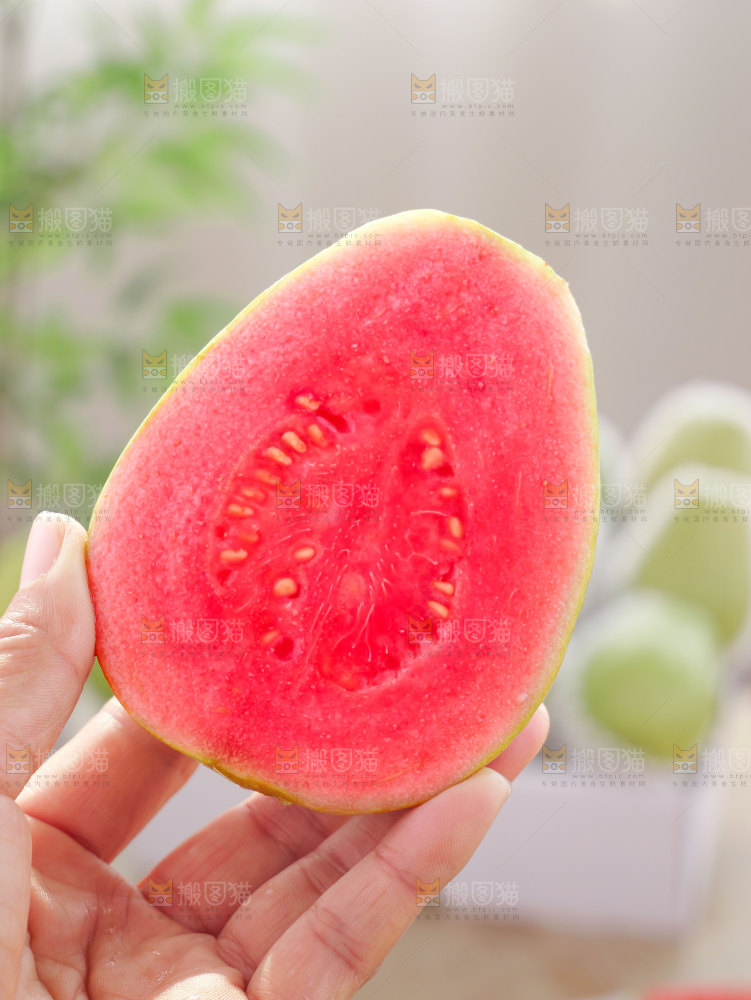 红心芭乐