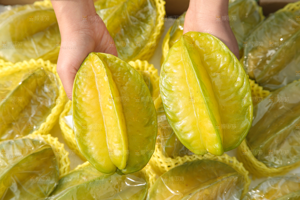 杨桃