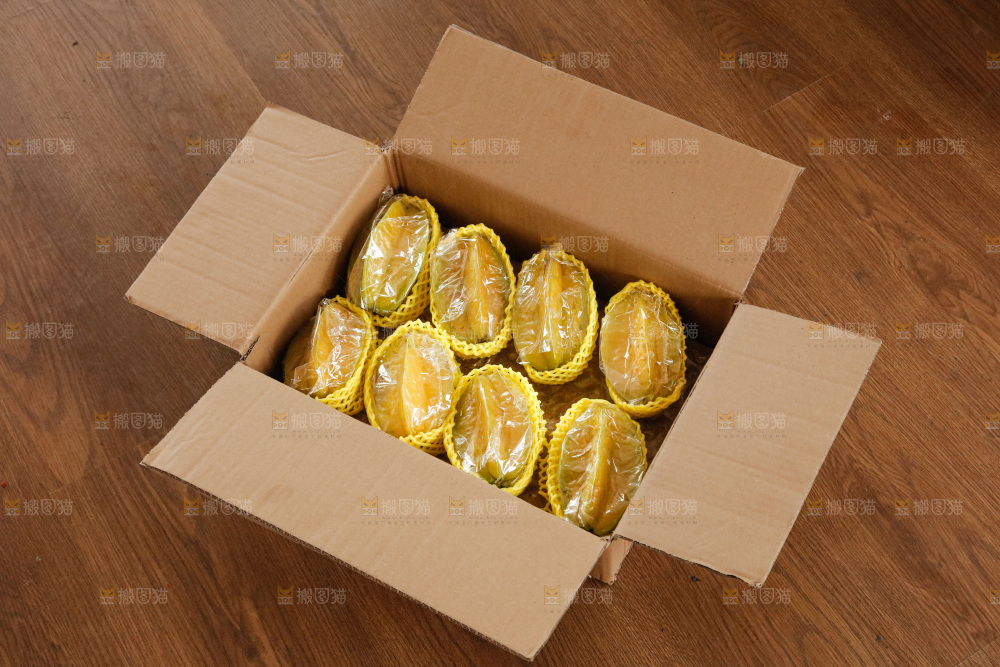 杨桃