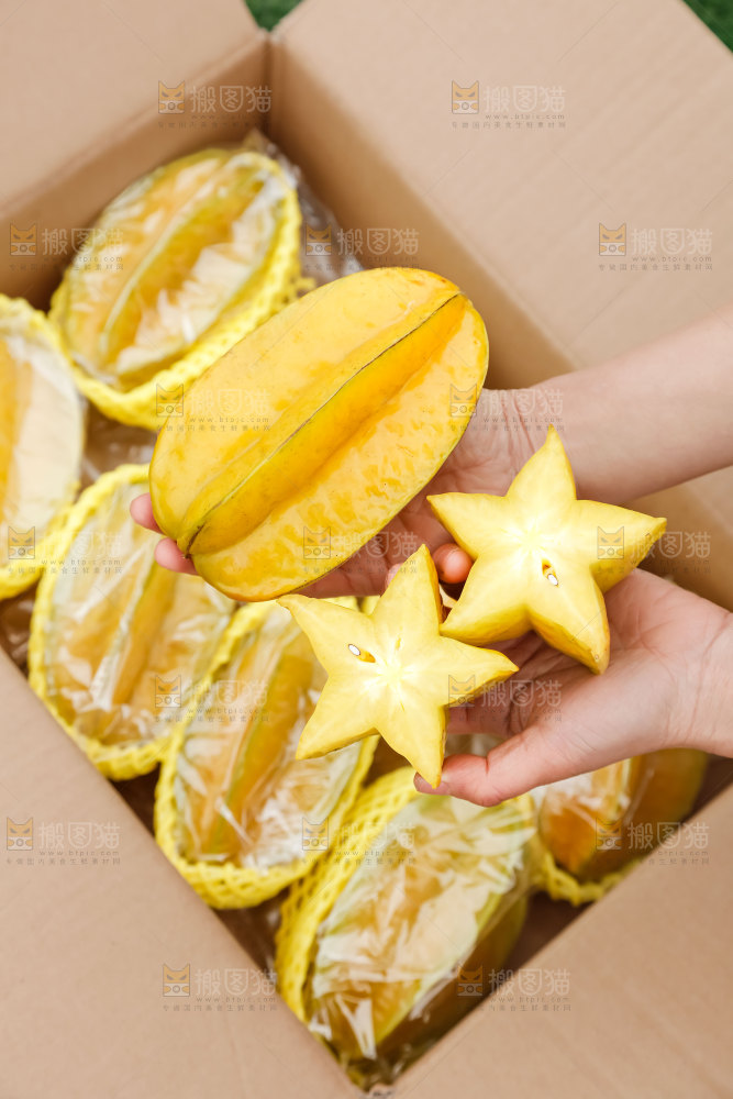 杨桃