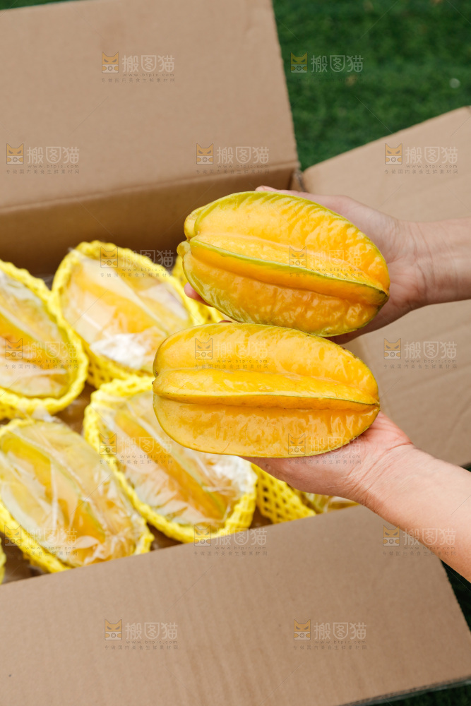 杨桃