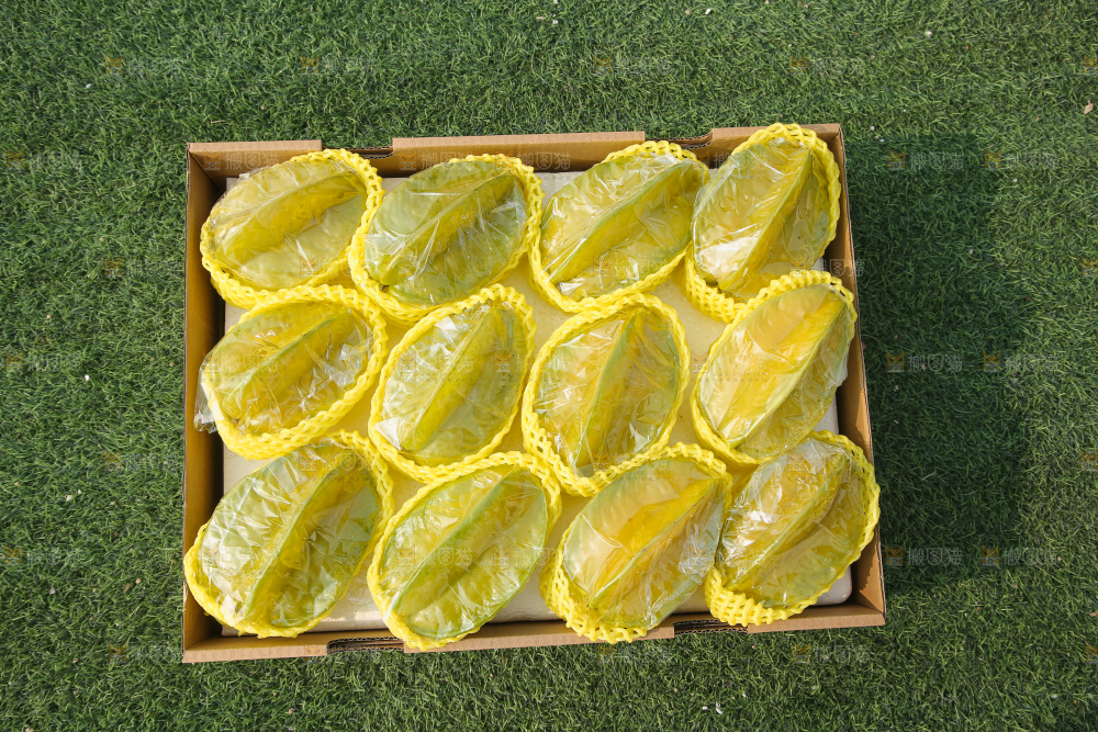 杨桃