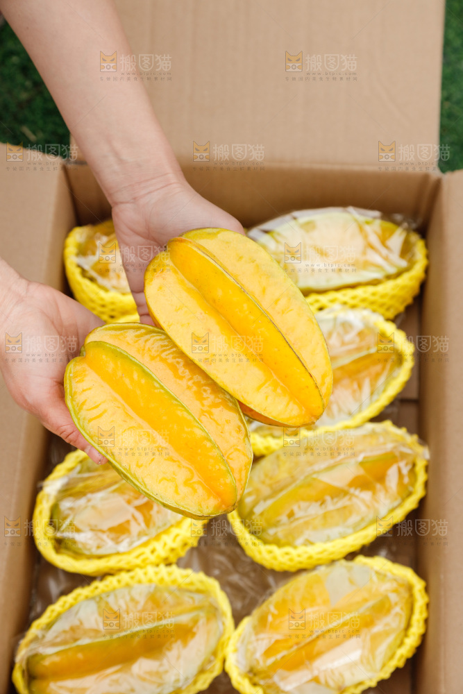 杨桃