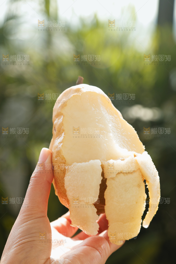 手里拿的丑梨