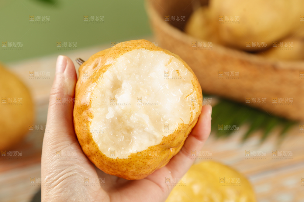 浅底上的丑梨