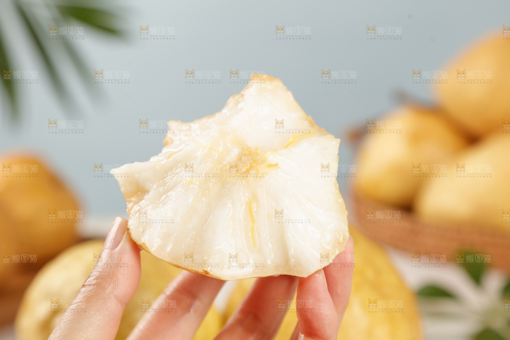 浅底上的丑梨