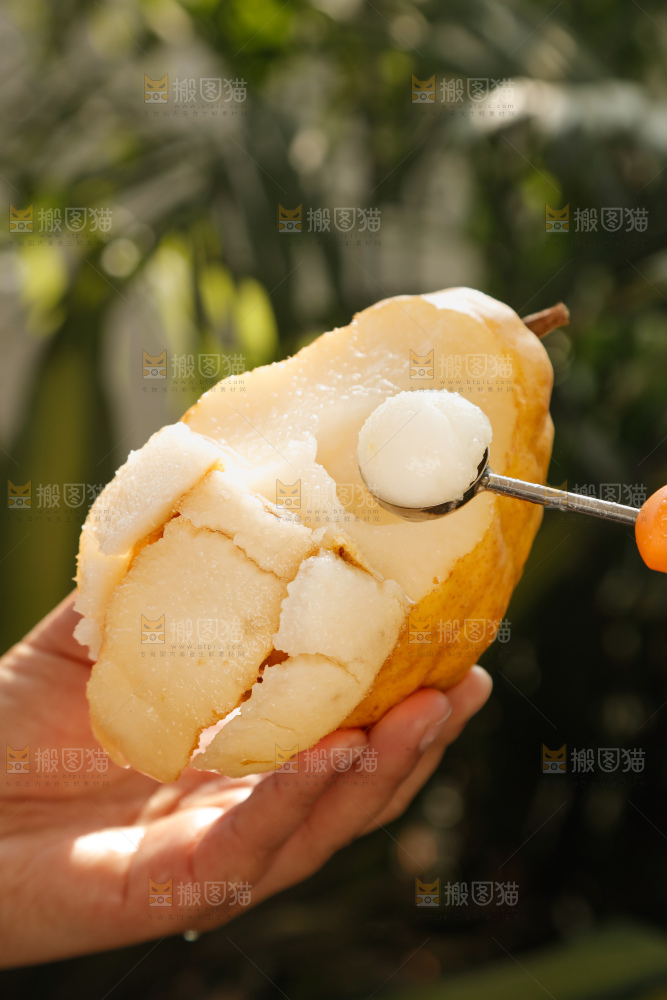手里拿的丑梨