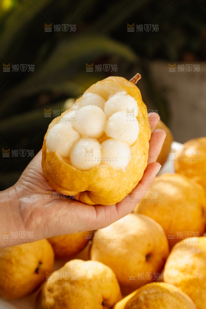 手里拿的丑梨