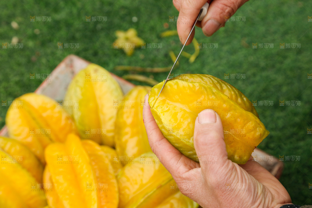 杨桃