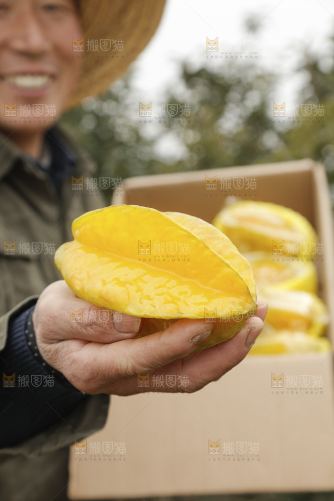 杨桃