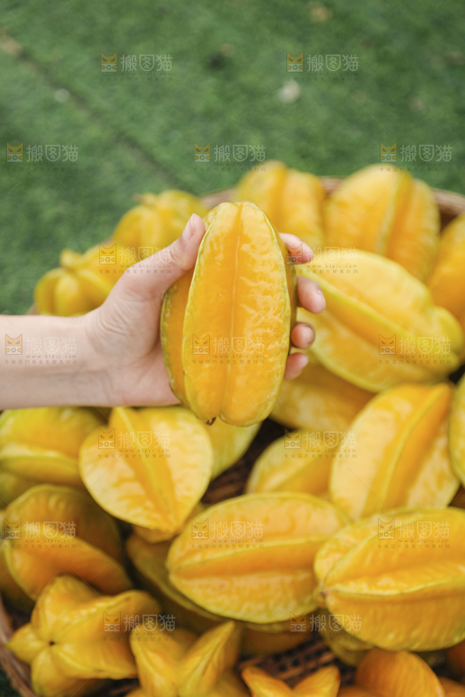 杨桃