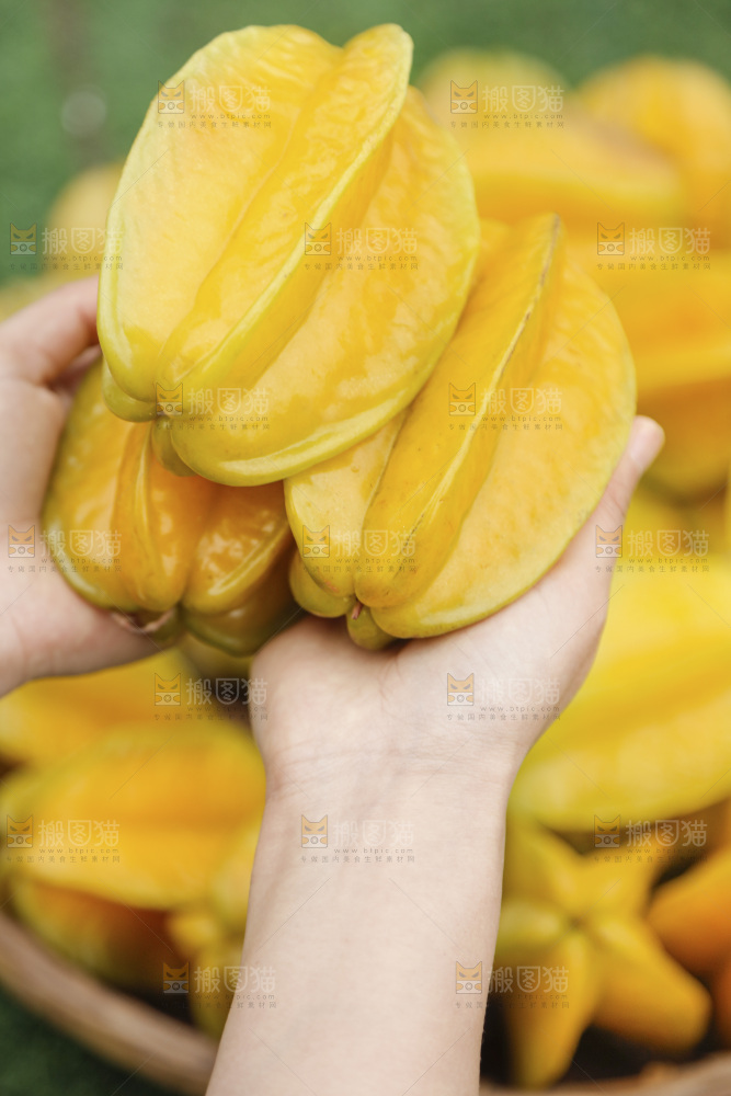 杨桃