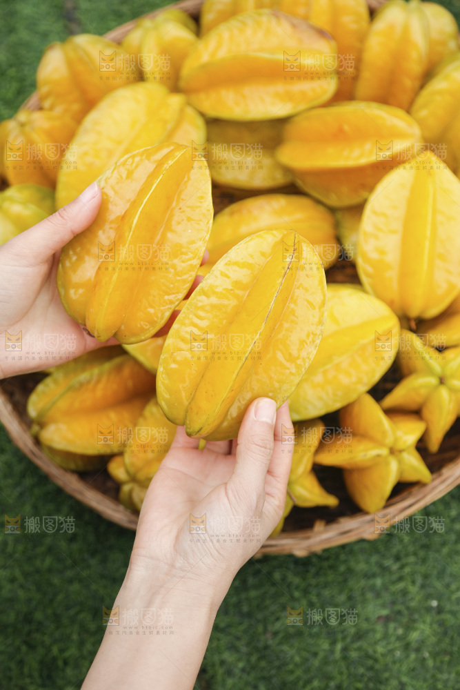 杨桃