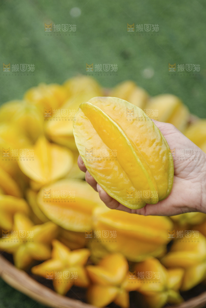 杨桃