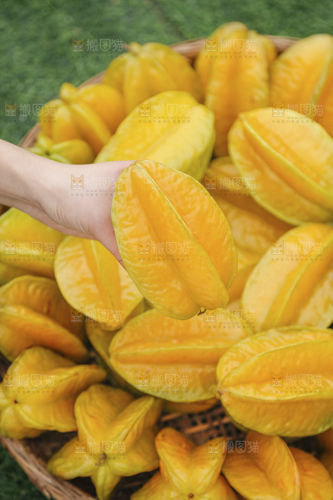 杨桃