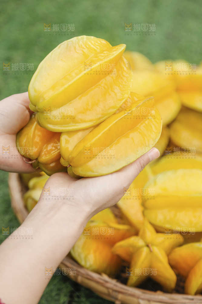 杨桃