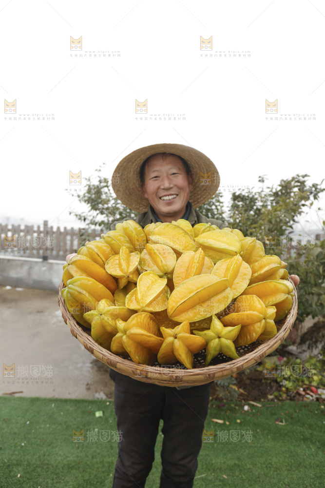 杨桃