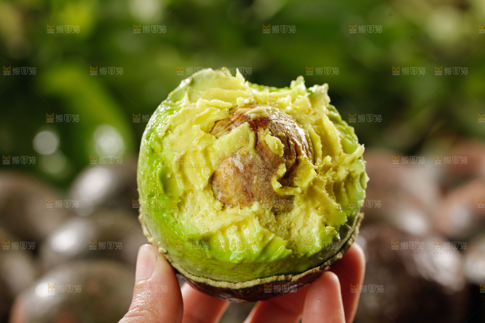 牛油果