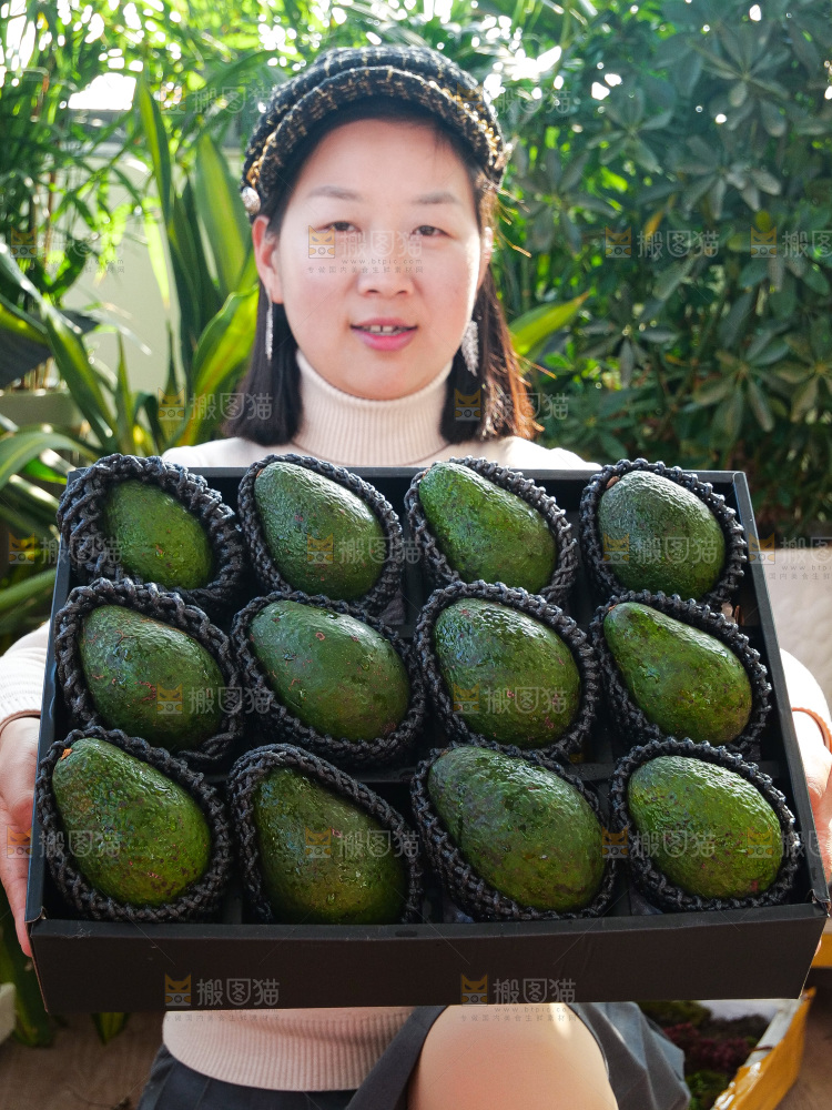 牛油果