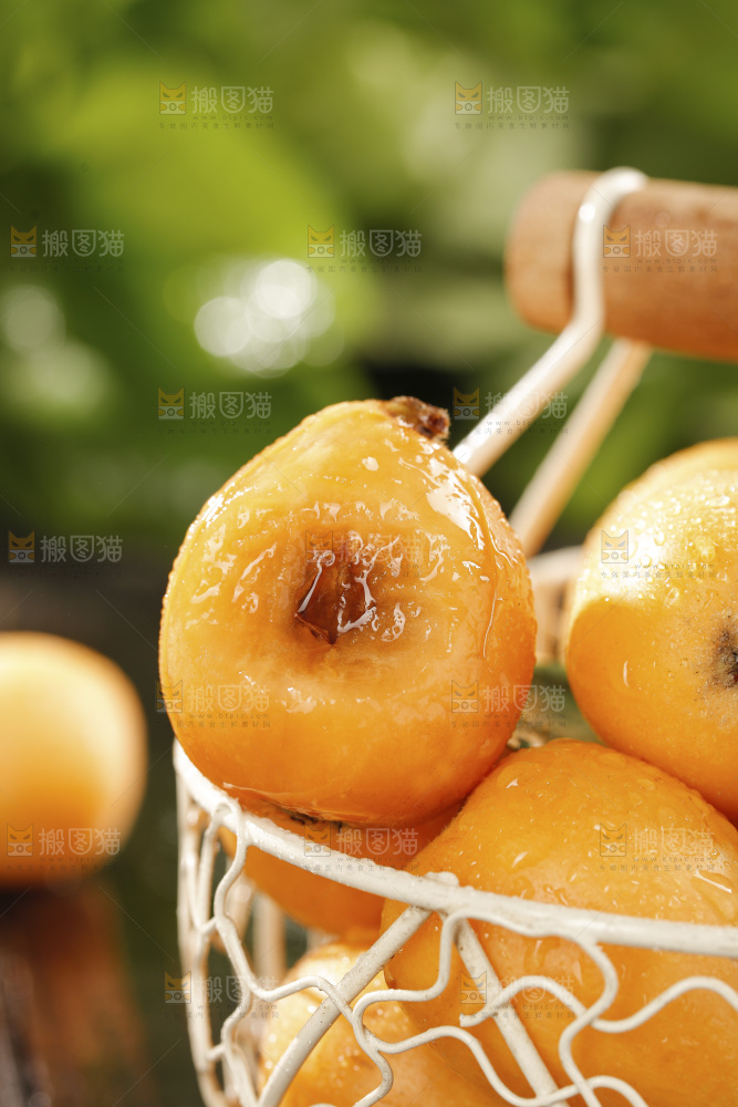 枇杷