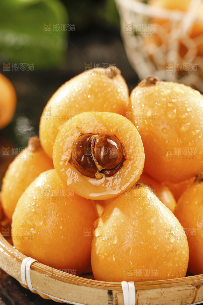 枇杷