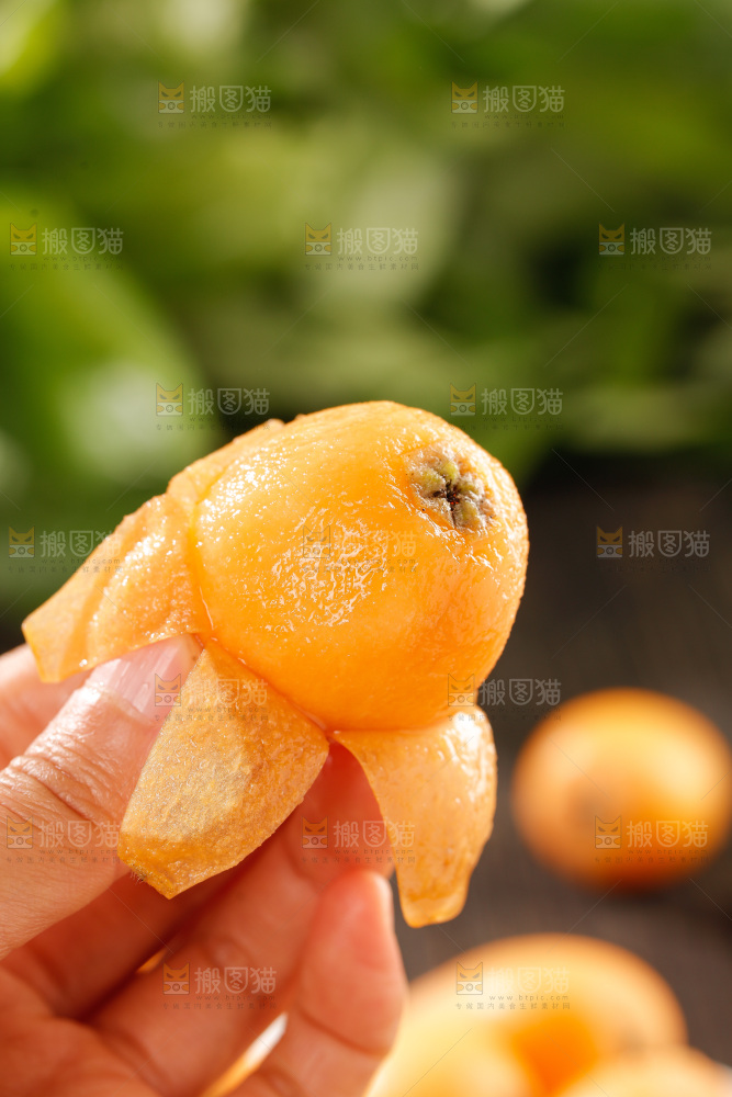 枇杷