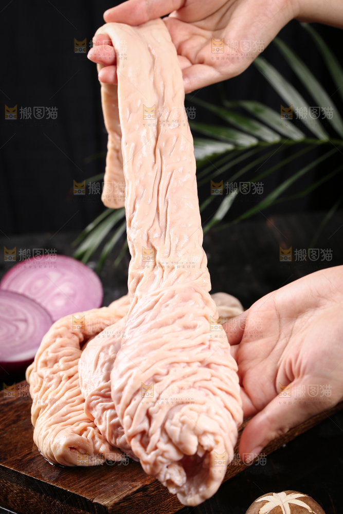 猪大肠
