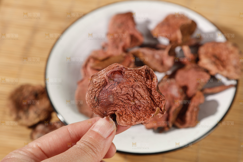 牛肝菌