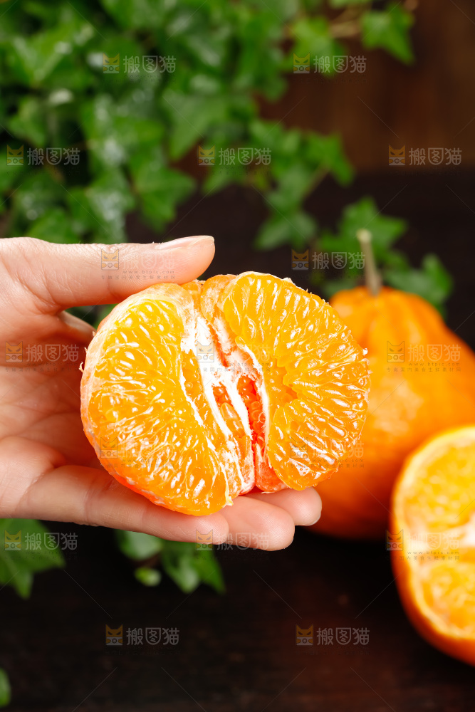 春见耙耙柑