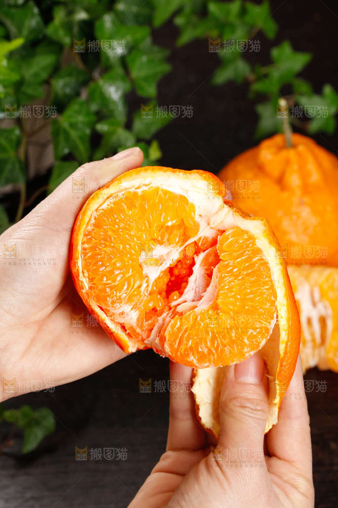春见耙耙柑