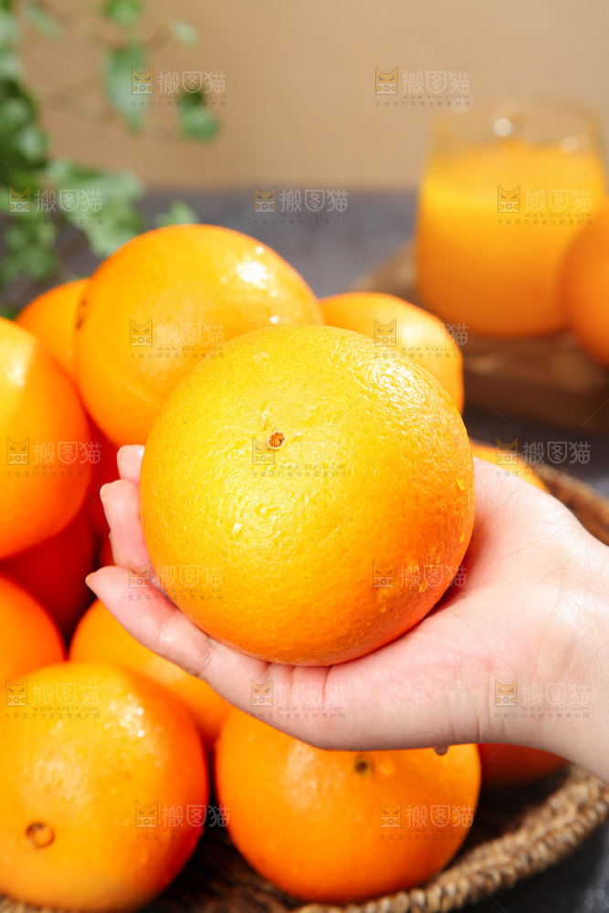 脐橙