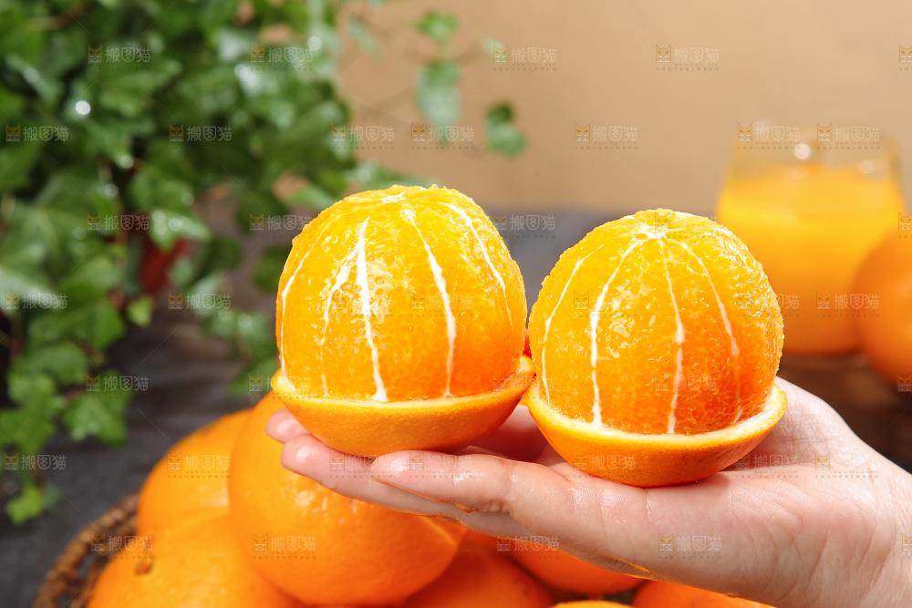 脐橙