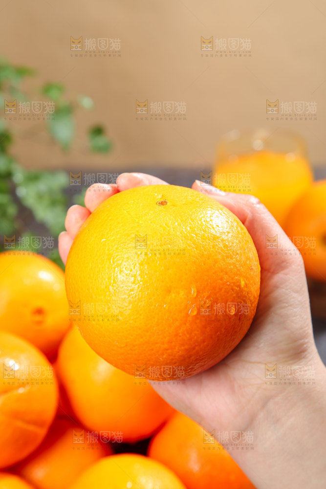 脐橙