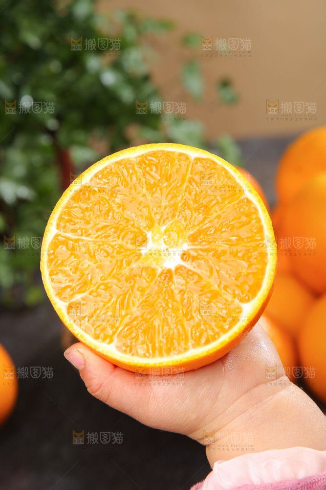 脐橙
