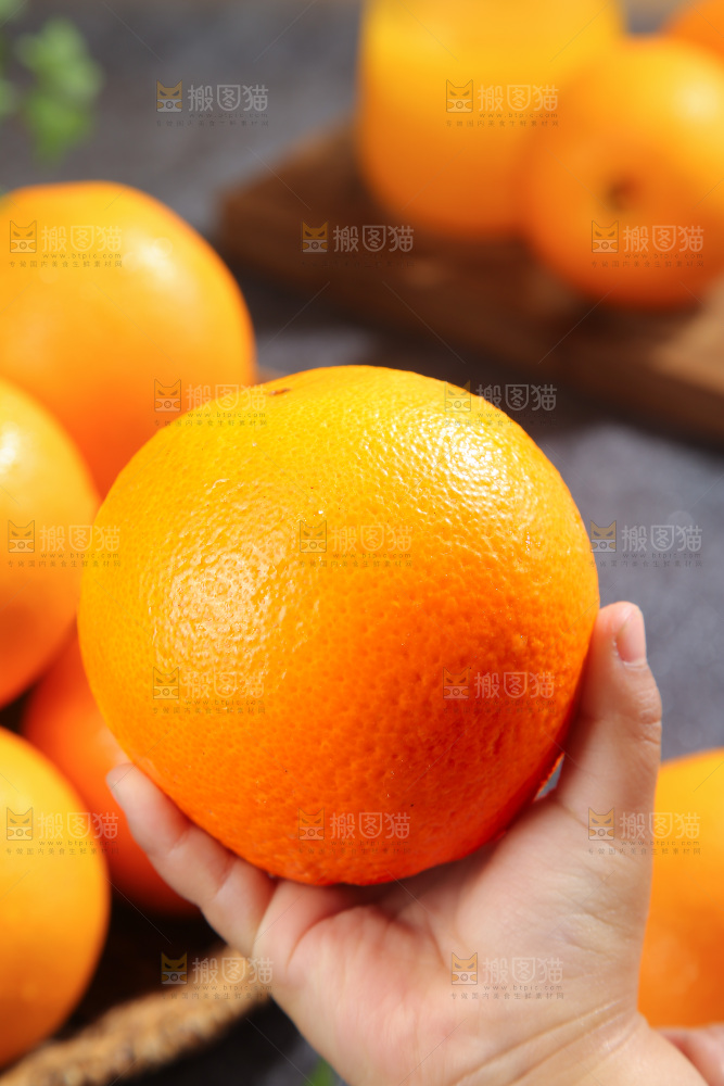 脐橙