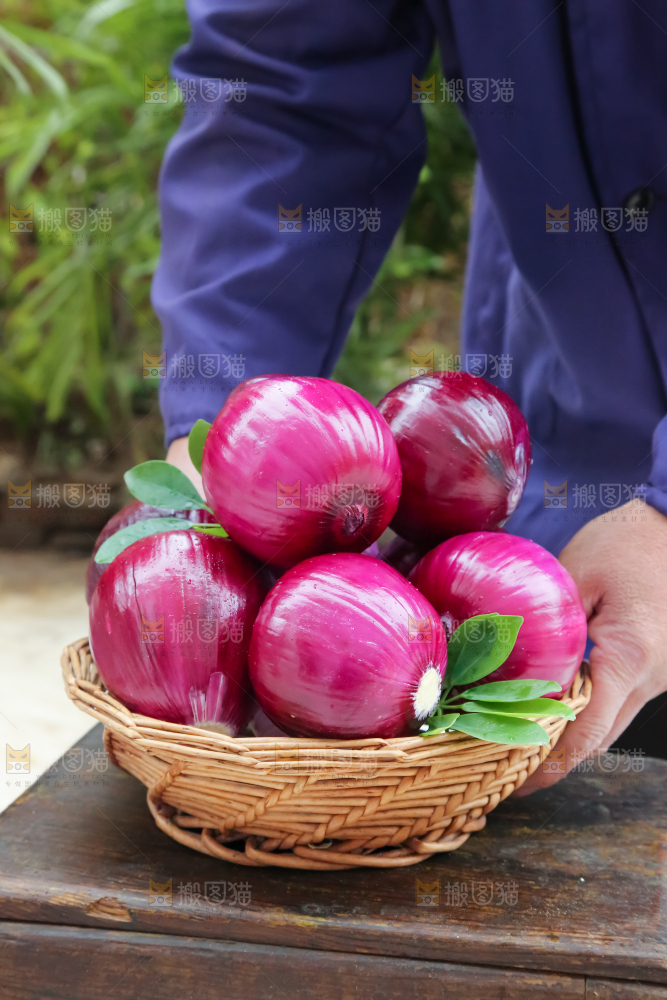洋葱