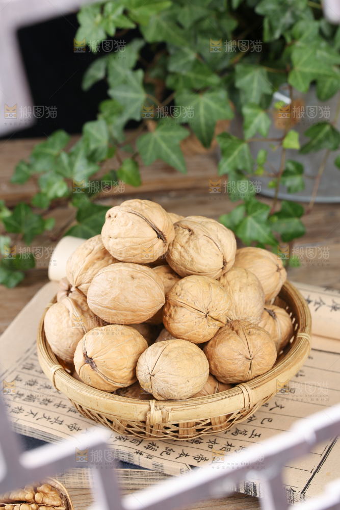 纸皮核桃