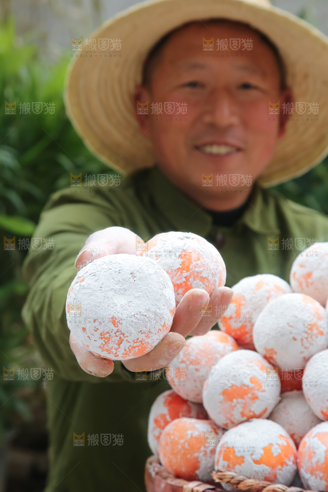 茂谷柑