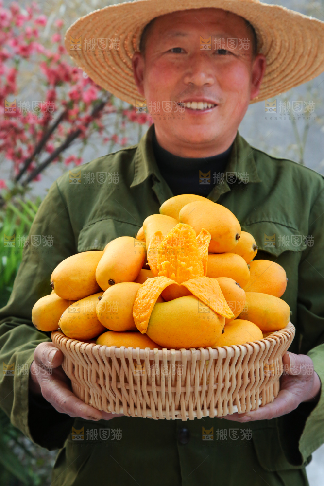 小台芒